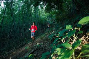 BIB: 
                            <button type="button" onclick="openModal(28124486)" class="btn btn-primary btn-sm float-right btn-popup" data-toggle="modal" data-target=".modal-high-quality">
                        <i class="fas fa-shopping-cart"></i> Add to Cart
                    </button>
                                            <button type="button" onclick="isThisMe(28124486, true)" class="btn btn-success btn-sm float-right btn-popup btn-isme hidden" data-toggle="tooltip" data-placement="bottom" title="นี่คือรูปของคุณใช่ไหม คลิกที่นี่เพื่อเอาเข้าอัลบั้ม">
                        <i class="fas fa-plus"></i> Add to album
                    </button>
                    <button type="button" onclick="isThisMe(28124486, false)" class="btn btn-warning btn-sm float-right btn-popup btn-isnotme hidden">
                        <i class="fas fa-ban"></i> Remove from album
                    </button>